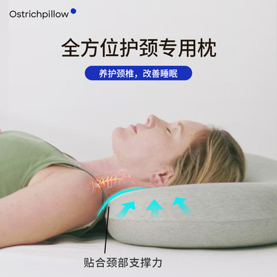 Ostichpillow巴斯夫记忆棉枕头