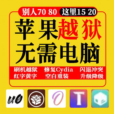适用于苹果手机iPhone iPad在线越狱平刷闪退9/8p/X14/13系统清除