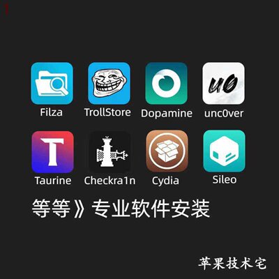 适用苹果手机iPad牛磺酸unc0ver奥德赛checkra1n多巴胺越狱cydia