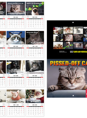 跨境新品2026年 PISSED-DFF CATS 愤怒猫日历 墙面骑马钉挂历现货