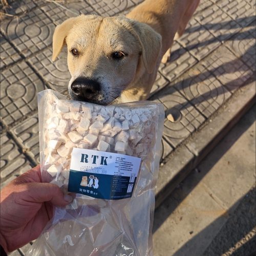 猫零食猫冻干鸡肉冻干鸡胸猫咪零食鸡肉粒冻干猫狗通用狗狗全家桶
