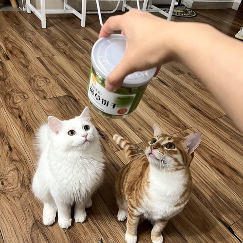 猫咪零食猫草饼干即食薄荷饼干猫草粒片已种好