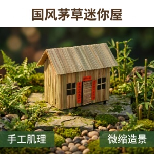 矛草手工迷你屋造景装饰橱窗布景
