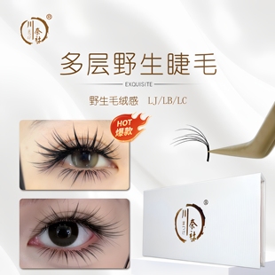 3D野生漫画睫毛3D山茶花LJ LC多层次立体蓬松嫁接睫毛