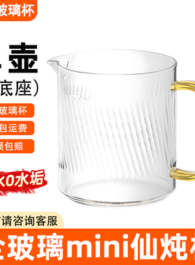 康宁全玻璃水杯单杯鲜炖杯