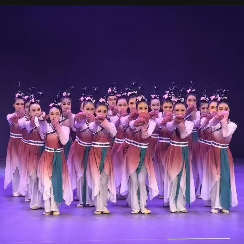 古典舞水袖演出服惊鸿舞群舞表演博物馆之夜同款舞蹈服练功艺考服
