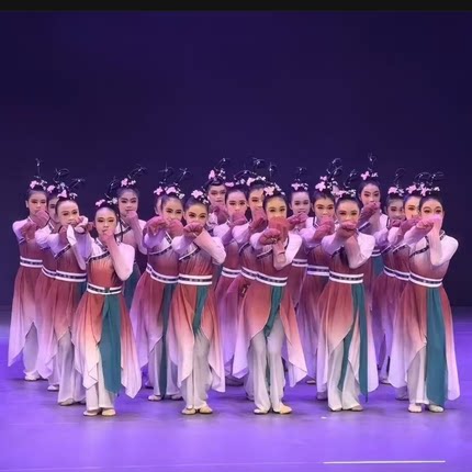 古典舞水袖演出服惊鸿舞群舞表演博物馆之夜同款舞蹈服练功艺考服