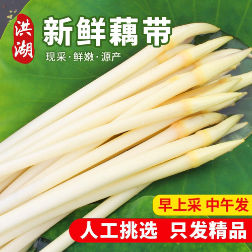 华贵洪湖新鲜藕带尖冷链爆汁