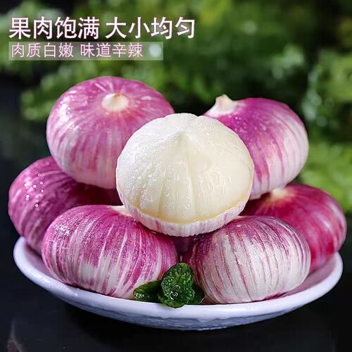 云南保山紫皮独头大蒜产地直发