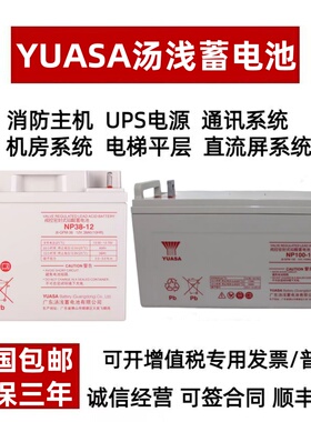 YUASA汤浅蓄电池NP65-12铅酸12V18A24A38A65A100AH直流屏UPS/EPS