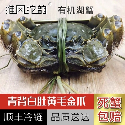渔乡沱湖有机大闸蟹，母蟹3.5两/只公蟹4.5两/只，公母组合10只装