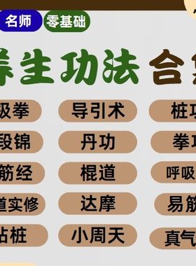 2025养生功法合集太极拳 桩功等视频教程跟练视频 百度网盘286套