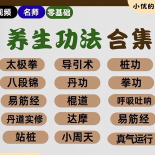 2025养生功法合集太极拳 桩功等视频教程跟练视频 百度网盘286套