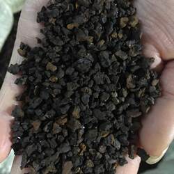 桦树茸黑金颗粒桦褐孔菌一斤白桦茸