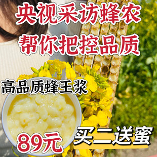 蜂皇浆500g 买2送蜜 高品质蜂王浆新鲜纯正天然正品 电视采访蜂农