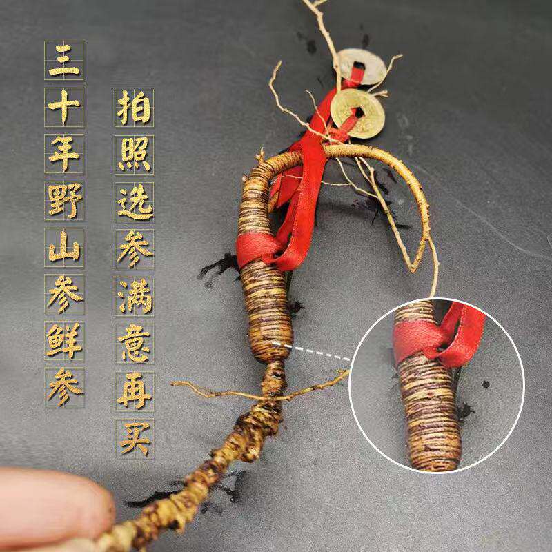 鲜人参25年东北长白山新鲜林下参30年野山参野生老山参拍照选泡酒
