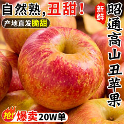 云南昭通苹果冰糖心丑苹果10斤新鲜水果红富士圣诞平安果整箱包邮