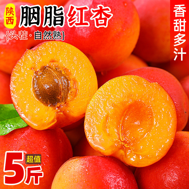 陕西胭脂红杏子新鲜水果现摘当季贵妃大红杏孕妇水果酸甜整箱包邮