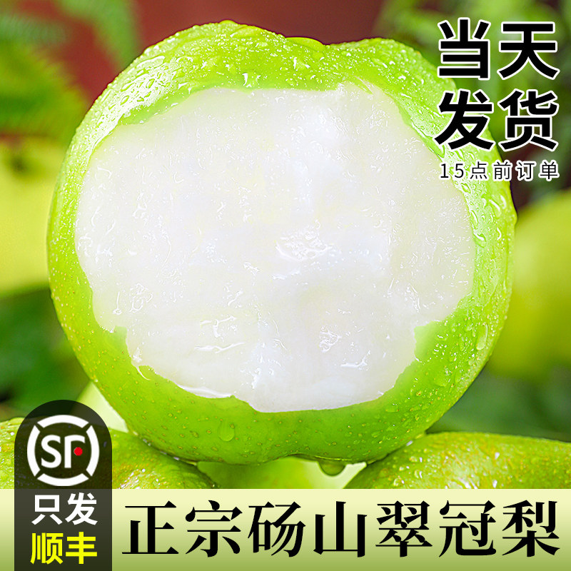 「只发顺丰」正宗砀山翠冠梨！图片
