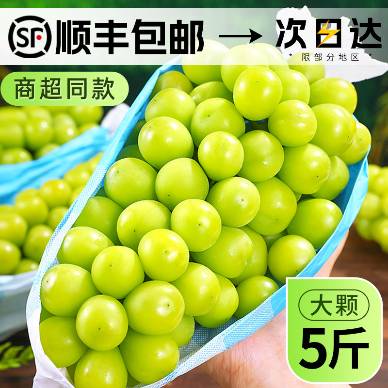 阳光玫瑰葡萄新鲜水果晴王葡萄无籽香印提子青提当季整箱顺丰包邮