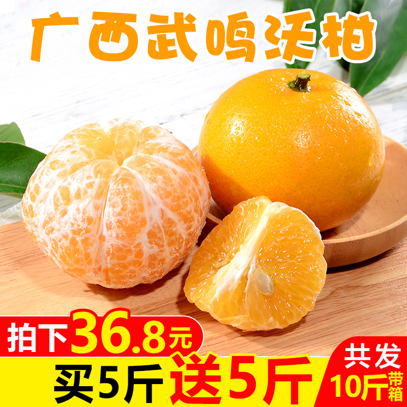 带你看骨科
