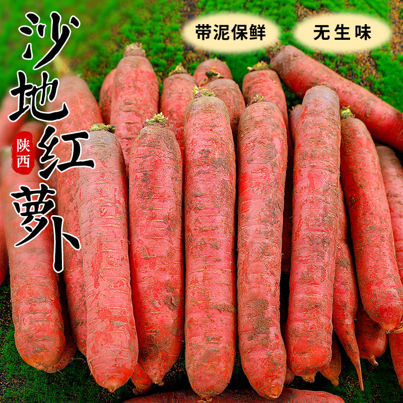 陕西沙地红萝卜新鲜蔬菜水果胡萝卜生吃脆甜红心萝卜咸菜批发包邮,水产肉类/新鲜蔬果/熟食,萝卜/胡萝卜,淘宝优惠券,粉丝福利购,淘宝优惠卷