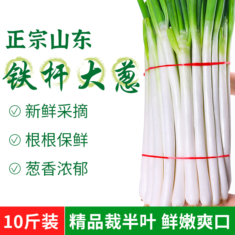 【精品去半叶山东大葱】鲜嫩脆爽