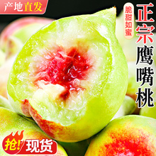 广东连坪鹰嘴桃新鲜桃子应当季正宗现摘水果整箱水蜜桃甜脆毛桃
