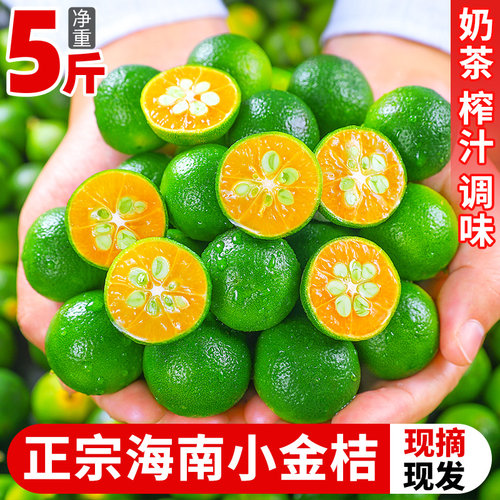 小青金桔！酸爽多汁！泡饮搭档！