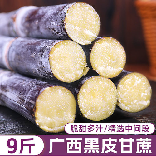 【精选脆甜中段】广西黑皮甘蔗