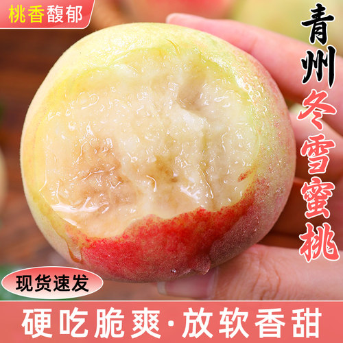 青州冬雪蜜桃硬吃脆爽软吃香甜