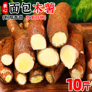 广西黄心面包木薯10斤当季新鲜蔬菜黄肉木薯粉糯甜板栗红薯5包邮