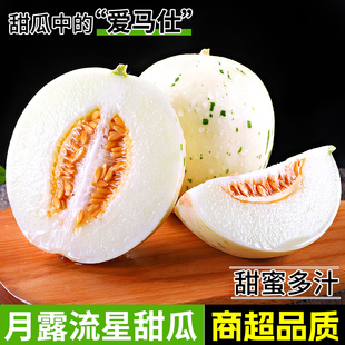 月露流星瓜9斤新鲜当季水果整箱包邮斑白甜瓜网纹哈密瓜甜瓜蜜瓜