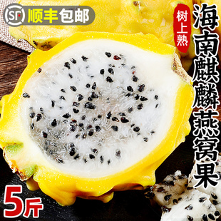 【顺丰包邮】燕窝果海南新鲜火龙果白心麒麟果应孕妇水果整箱包邮