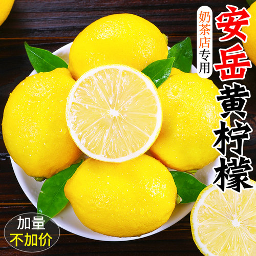 切片泡水！补充维c！奶茶店专用