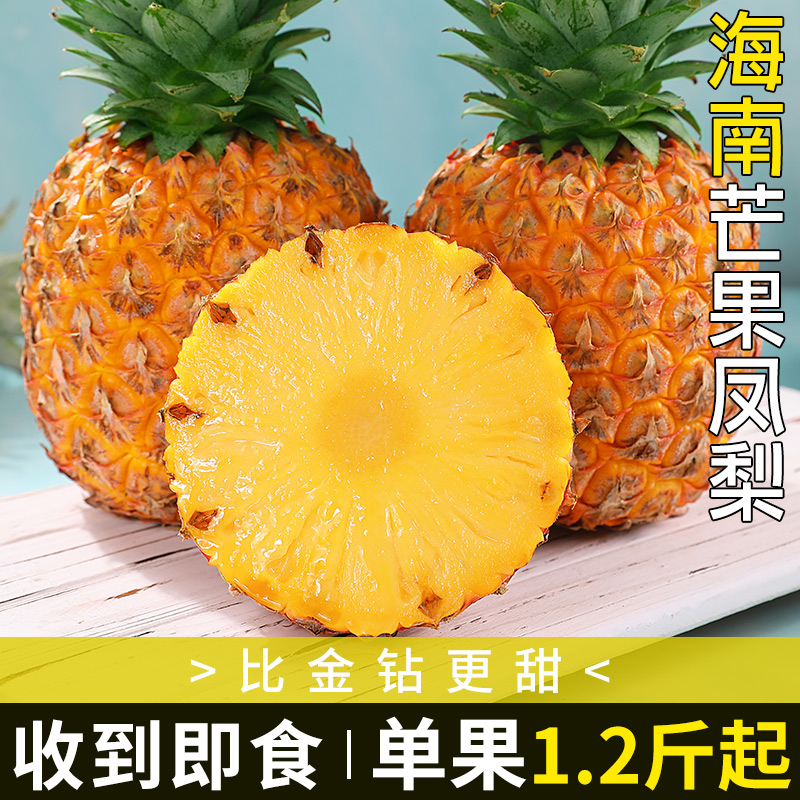 海南芒果凤梨|新鲜现摘|香甜多汁