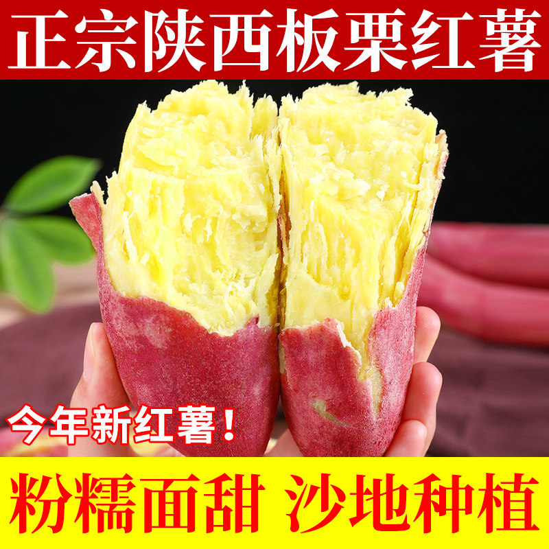 正宗沙地板栗红薯软糯香甜新货图片