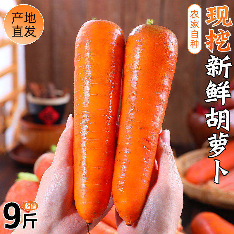 陕西新鲜胡萝卜农家自种脆甜多汁可生吃即食适配泡菜咸菜腌制批发,水产肉类/新鲜蔬果/熟食,萝卜/胡萝卜,淘宝优惠券,粉丝福利购,淘宝优惠卷