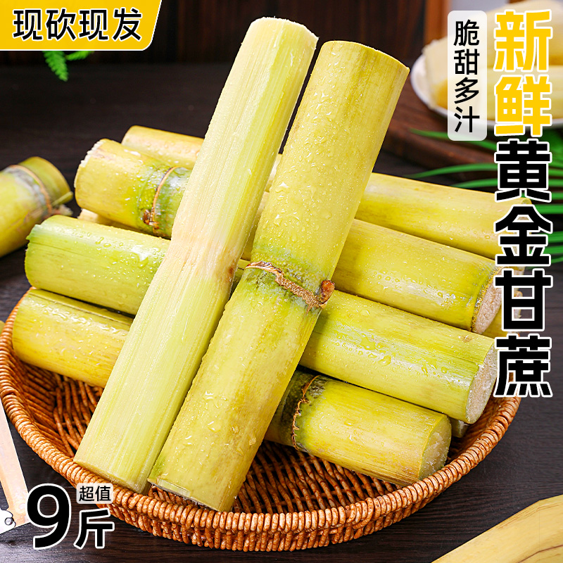 正宗黄金甘蔗|精选中段|脆甜多汁