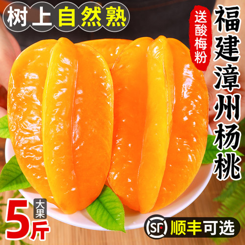 福建漳州甜杨桃！只卖树上熟果