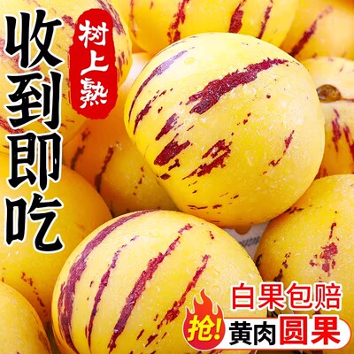 【24h速发】石林人参果~黄肉圆果