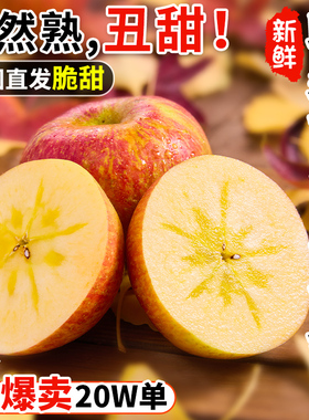 云南昭通冰糖心丑苹果10斤正宗新鲜水果昭通苹果当季富士脆甜水果