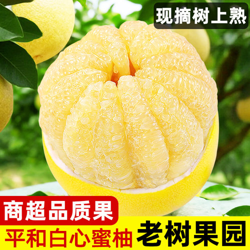 平和水晶白心蜜柚！维C丰富好吃