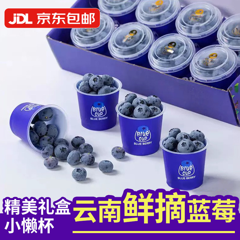 云南新鲜蓝莓8杯当季水果蓝梅鲜果高山怡颗甜莓孕妇蔓越京东包邮
