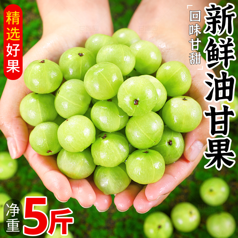 【新货】精选油甘果新品尝鲜