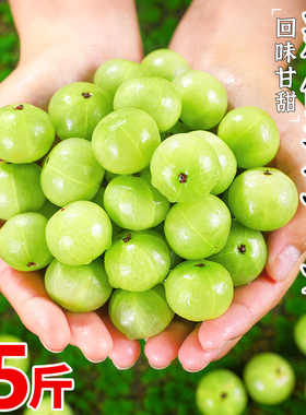 新鲜油甘果5斤余甘果牛甘子当季现摘油柑滇橄榄孕妇酸甜水果3包邮