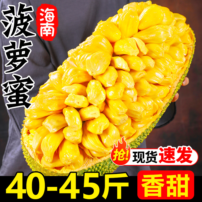 菠萝蜜产地直发40-45斤整箱包邮