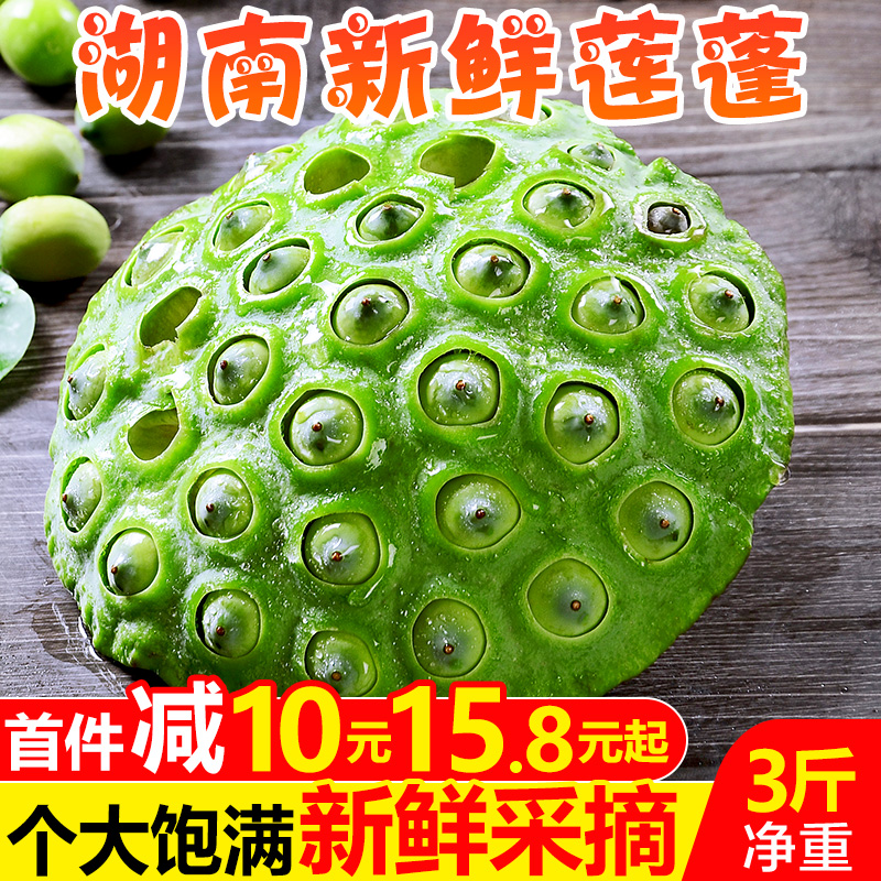 湖南新鲜莲蓬3斤 应当季蔬菜生吃甜嫩莲蓬莲子米莲子粥整箱3包邮在类目 水产肉类/新鲜蔬果/熟食, 新鲜蔬菜/蔬菜制品, 新鲜蔬菜, 新鲜莲蓬中 - 来自Buy2taobao.com提供专业的淘宝代购服务
