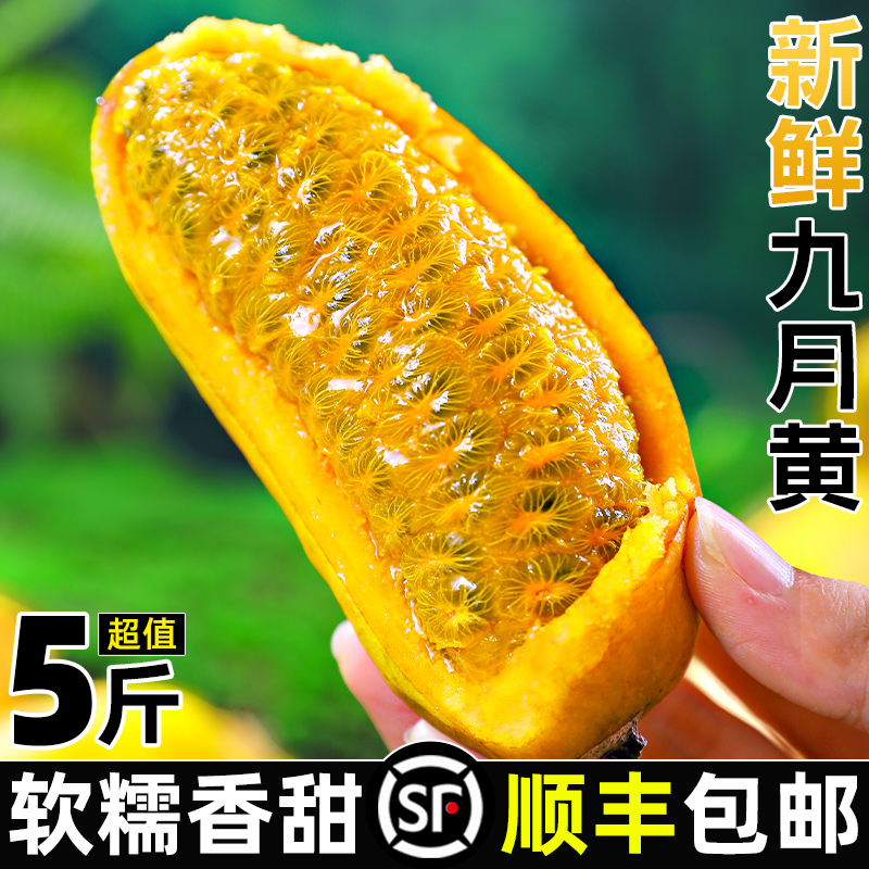 疯抢！新鲜九月黄顺丰速发