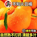 包邮 四川不知火丑橘高山新鲜水果当季 丑粑粑八怪蜜耙耙桔子柑整箱